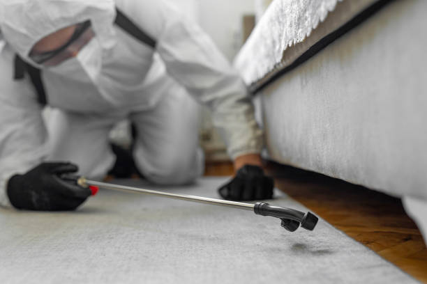 Professional Ant Control technician working in Dickinson County County, KS